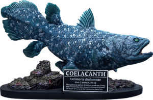 Collector Edition