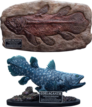 Coelacanth (Deluxe Version) Statue