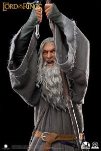 Gallery Image of Gandalf the Grey (Premium Edition) Statue
