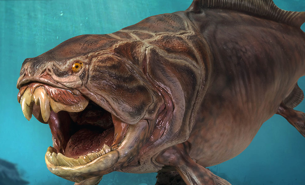 Gallery Feature Image of Dunkleosteus (Normal Version) Statue - Click to open image gallery