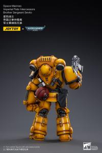 Gallery Image of Intercessors Brother Sergeant Sevito Action Figure