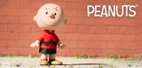 Gallery Image of Charlie Brown (Red Shirt) Vinyl Collectible