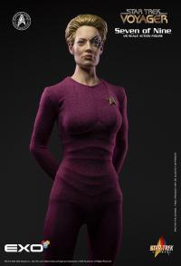 Gallery Image of Seven of Nine Sixth Scale Figure