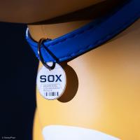 Gallery Image of Sox Vinyl Collectible