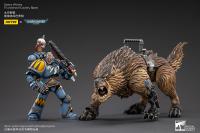 Gallery Image of Space Wolves Thunderwolf Cavalry Bjane Collectible Set