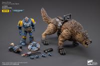 Gallery Image of Space Wolves Thunderwolf Cavalry Bjane Collectible Set