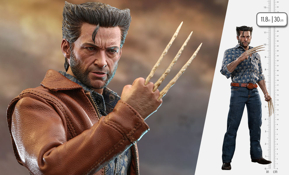 Gallery Feature Image of Wolverine (1973 Version) Sixth Scale Figure - Click to open image gallery