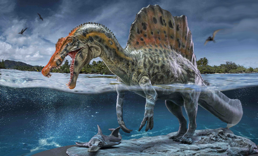 dinosaurs spinosaurus in water