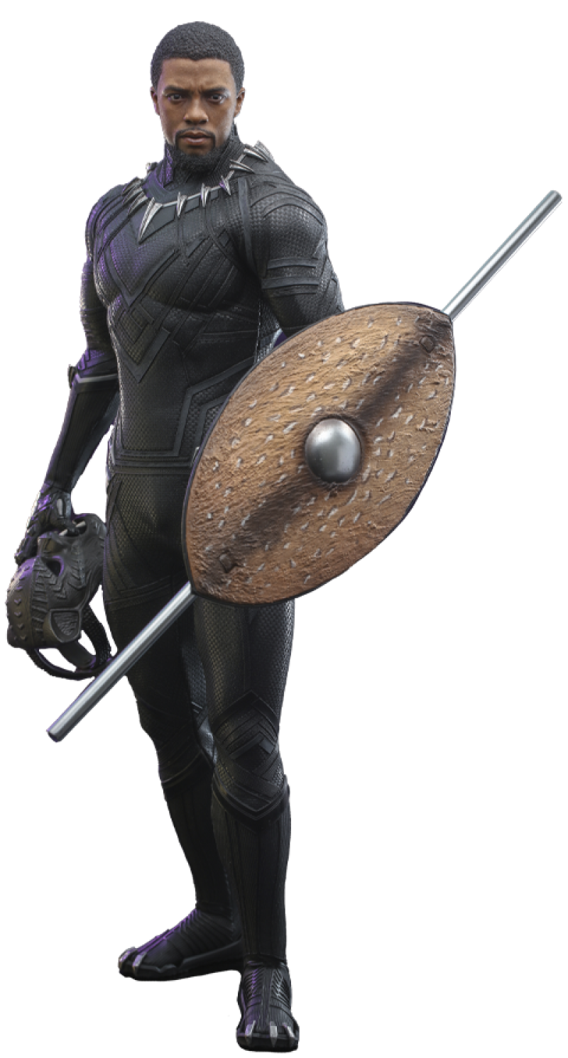 Black Panther (Original Suit) Sixth Scale Figure by Hot Toys (911691)