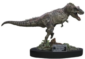 Collector Edition