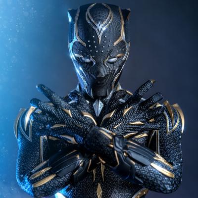 Black Panther Sixth Scale Figure by Hot Toys | Sideshow