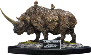 Collector Edition