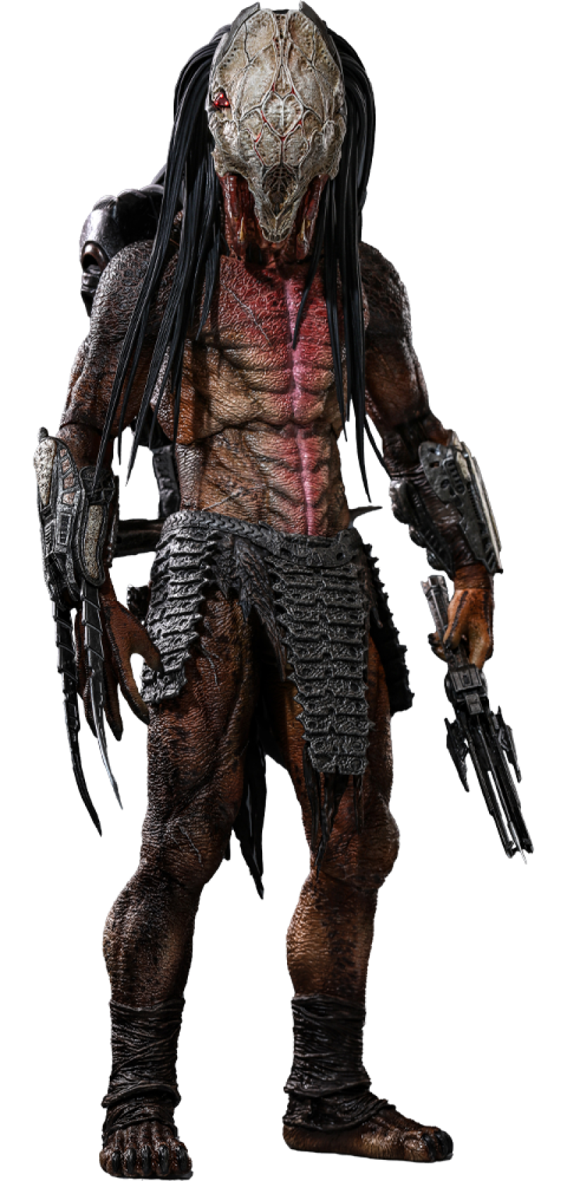 Feral Predator Sixth Scale Figure by Hot Toys