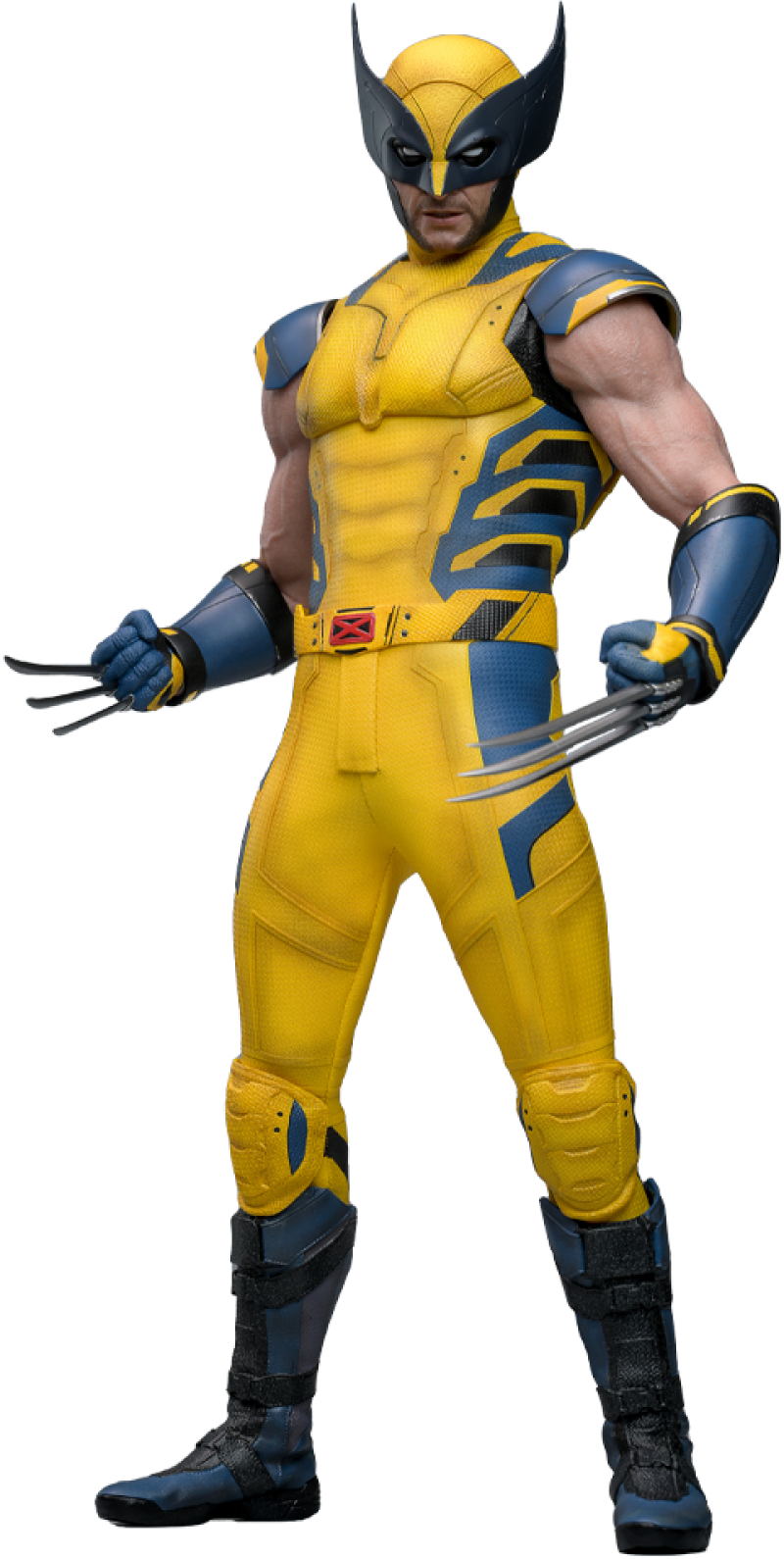 Wolverine Sixth Scale Figure by Hot Toys (913487)