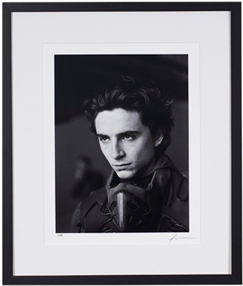 Dune: Exposures - Timothée Chalamet Book by Insight Editions