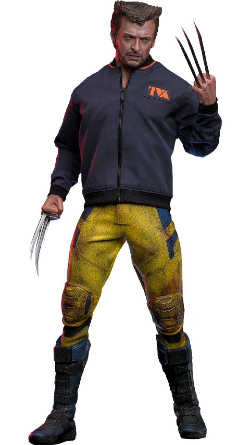Wolverine (TVA Jacket Version) Sixth Scale Figure by Hot Toys (913607)