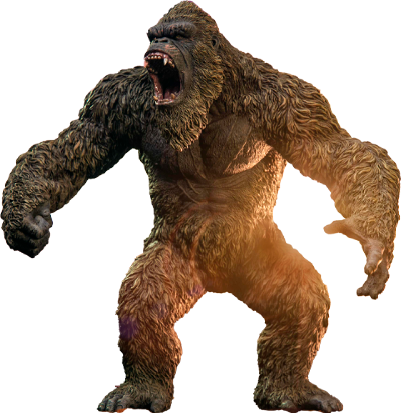 Kong (2024) Statues by Star Ace Toys Ltd.