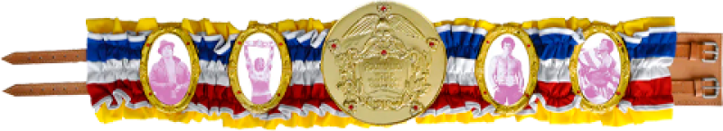 Rocky Balboa World Heavyweight Championship Legacy Belt Prop Replica by Sly Stallone Shop