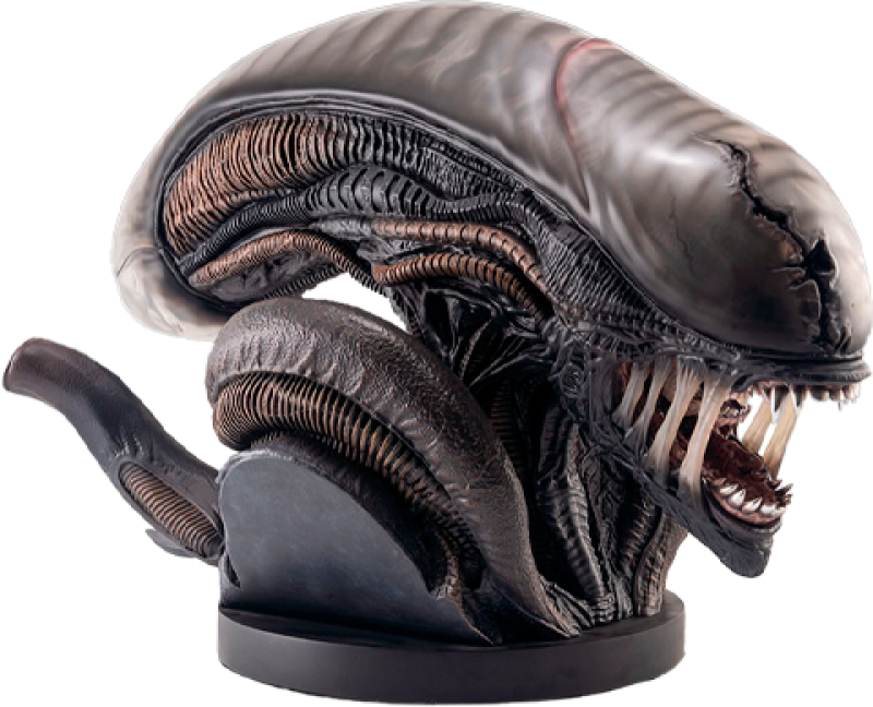 Xenomorph Life-Size Bust by Hollywood Collectibles Group
