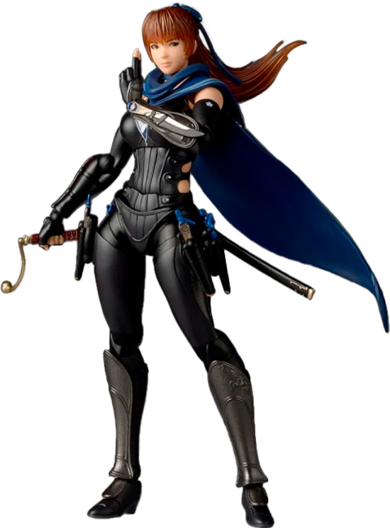 Kasumi Revoltech Action Figure by Kaiyodo