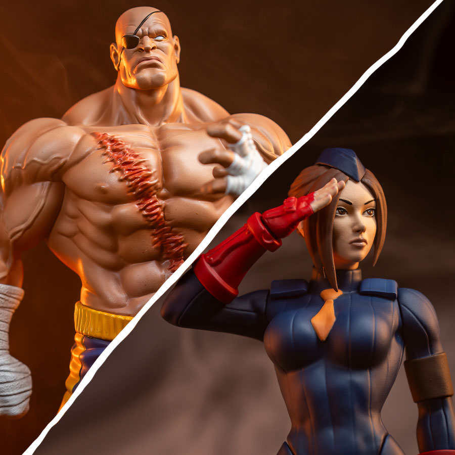 pcs-street-fighter-sagat-juli-