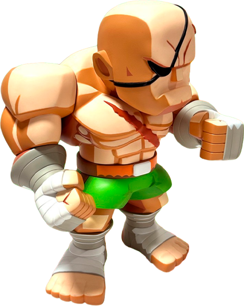 Sagat Collectible Figure by BigBoysToys