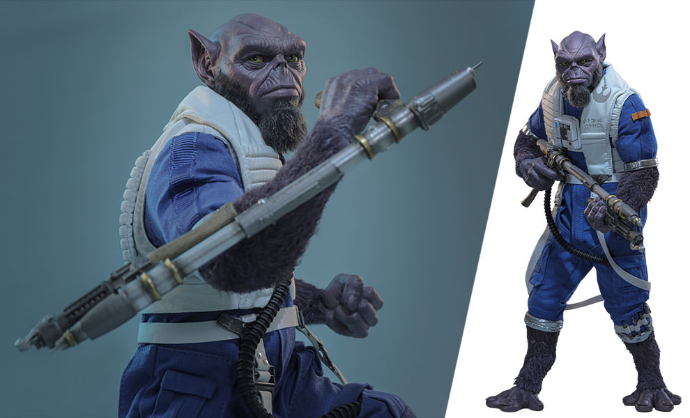 Zeb Orrelios Sixth Scale Figure by Hot Toys