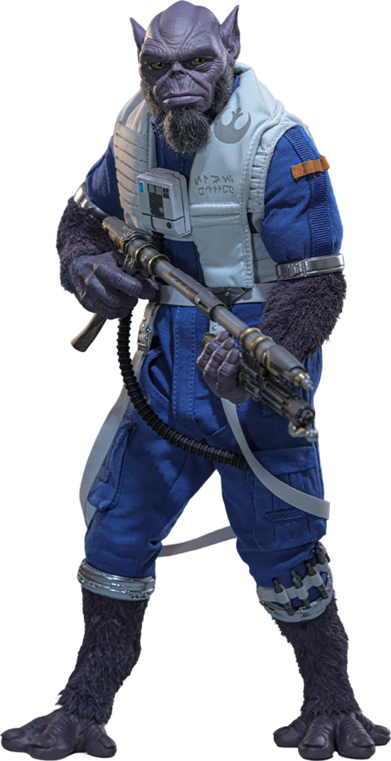 Zeb Orrelios Sixth Scale Figure by Hot Toys