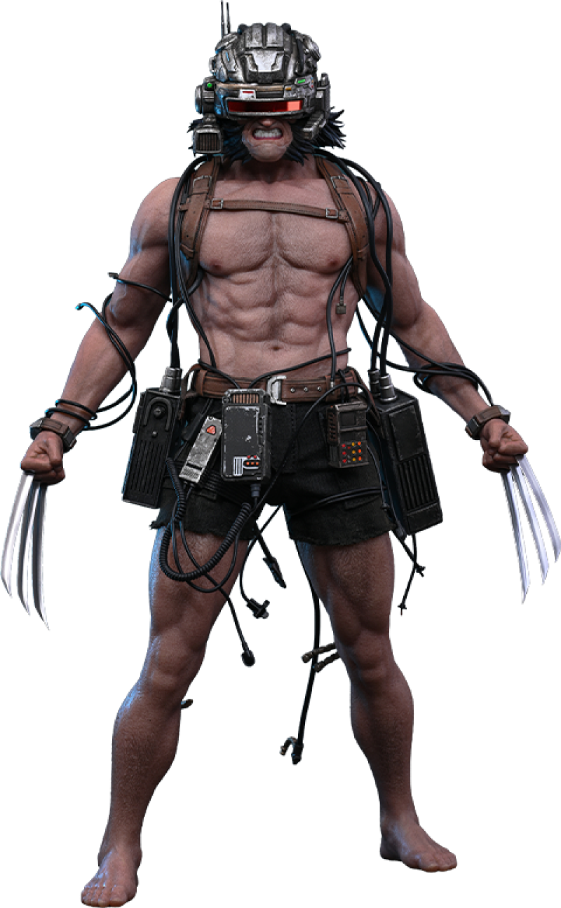 Weapon X Sixth Scale Figure by Hot Toys