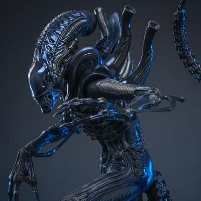 Event Reveal