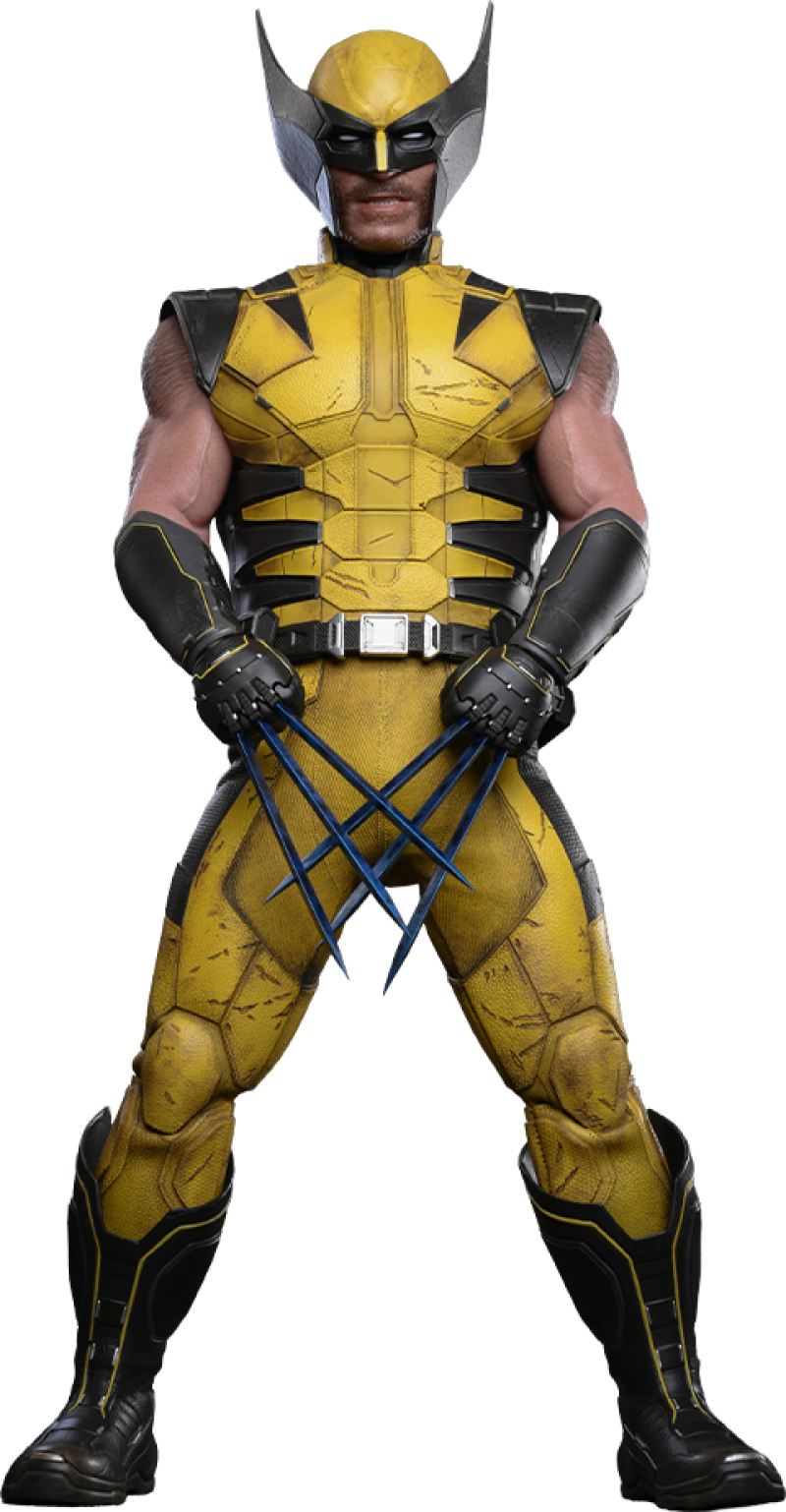 Wolverine Sixth Scale Figure